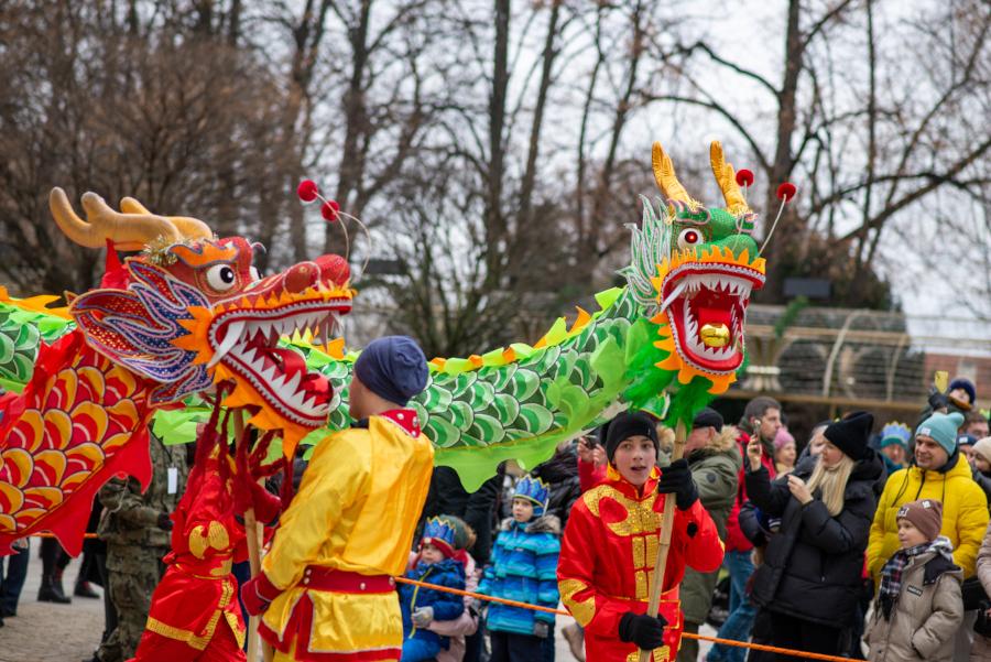 Grupa osób w kolorowych strojach prowadzi dwa smoki na paradzie w miejskim otoczeniu, otoczona widzami.