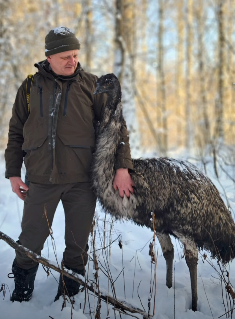 Mężczyzna w zimowej odzieży stoi obok emu na zaśnieżonym terenie, otoczony drzewami w tle.