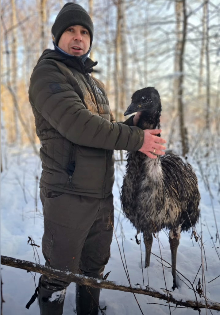 Mężczyzna w zimowej odzieży trzyma emu w śnieżnym lesie, w tle widać drzewa pokryte szronem.