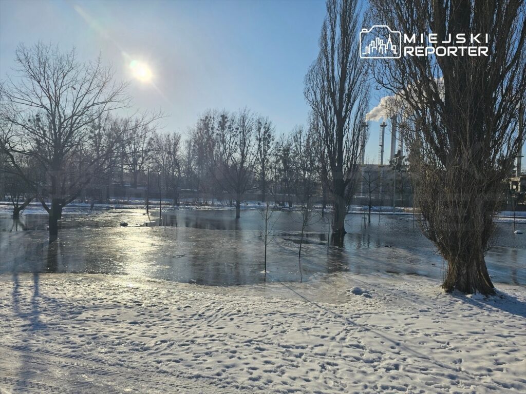 Słońce świeci nad zamarzniętą wodą, otoczoną drzewami w zimowej scenerii, z kominami przemysłowymi w tle.