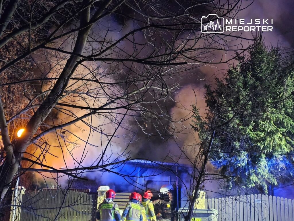 Grupa strażaków w hełmach gasi pożar w zaroślach, w tle widoczny gęsty dym i płomienie.