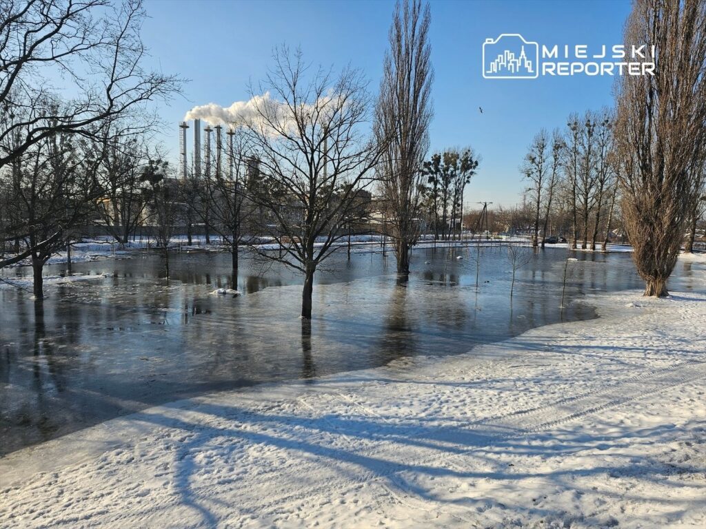 Zamarznięta woda w parku otoczona nagimi drzewami, w tle widoczne kominy zakładu przemysłowego emitujące dym.