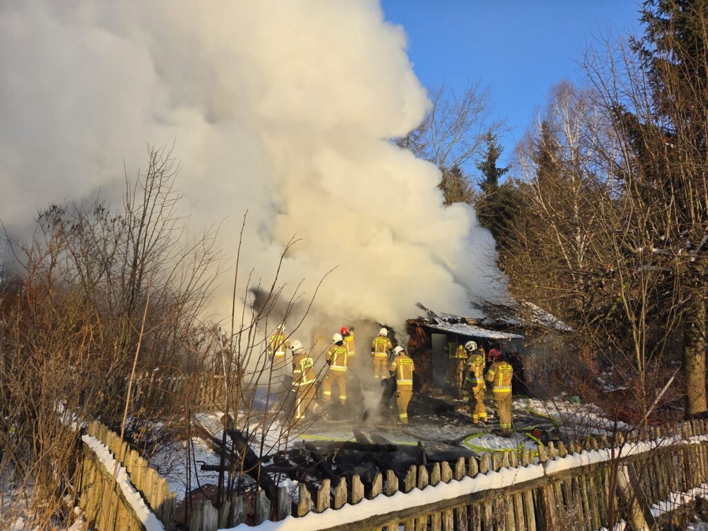 Grupa strażaków walczy z pożarem w zarośniętej okolicy, otoczonej dymem i płomieniami, w zimowej scenerii.