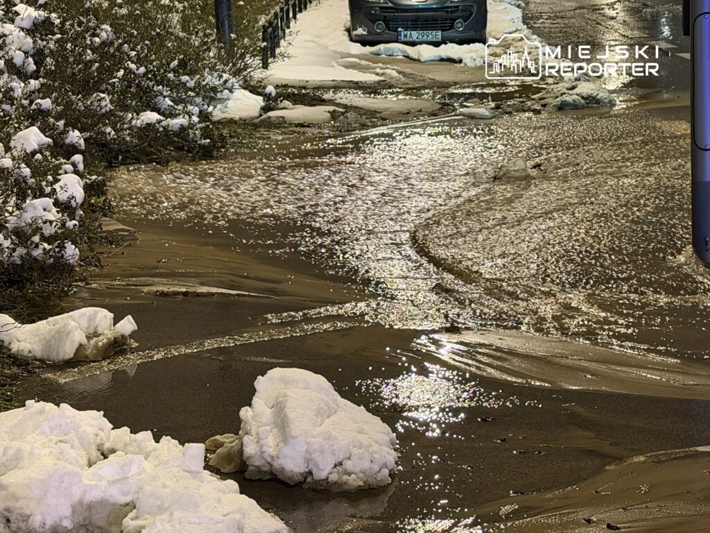 Woda z topniejącego śniegu płynie po ulicy, otoczona śnieżnymi zaspami i krzewami, w tle widoczny samochód.