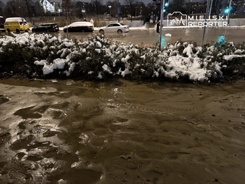 Woda zamarznięta w czasie opadów deszczu tworzy błotniste kałuże w miejskim otoczeniu, obok śniegu na krzewach.