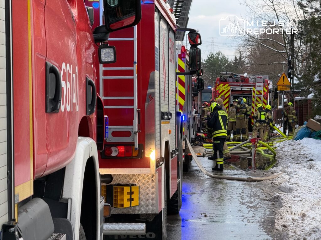 Grupa strażaków w mundurach i hełmach pracuje przy wozach strażackich, rozkładając węże na mokrej nawierzchni.