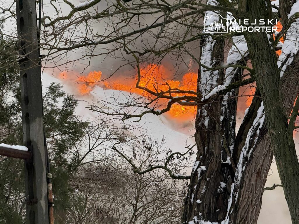 Płomienie wydobywające się z płonącego budynku, widoczne przez drzewa w zimowym krajobrazie.