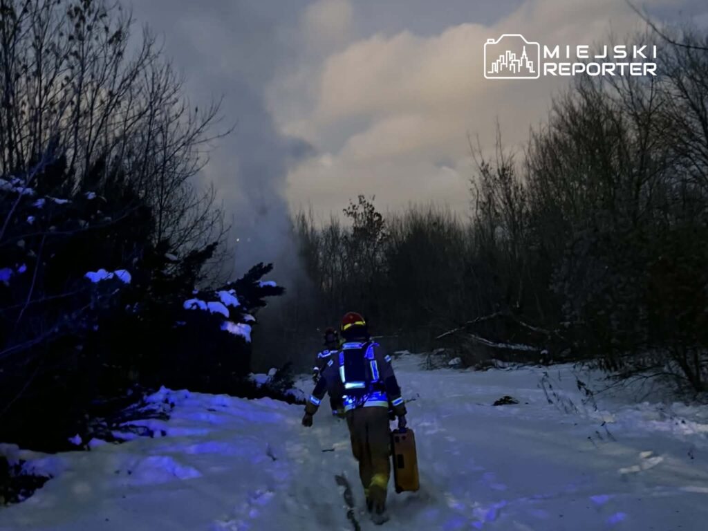 Strażak w odblaskowym mundurze idzie w kierunku dymu w zaśnieżonym lesie, niosąc pojemnik z wodą.