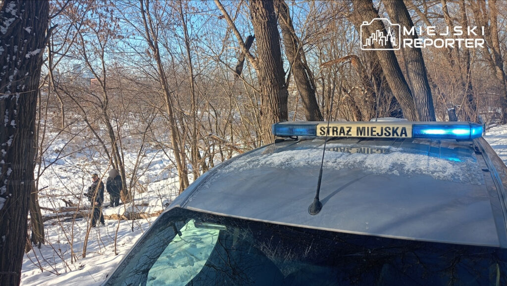 Radiowóz Straży Miejskiej z włączonymi sygnałami świetlnymi stoi na zaśnieżonym terenie leśnym, obok dwóch osób.