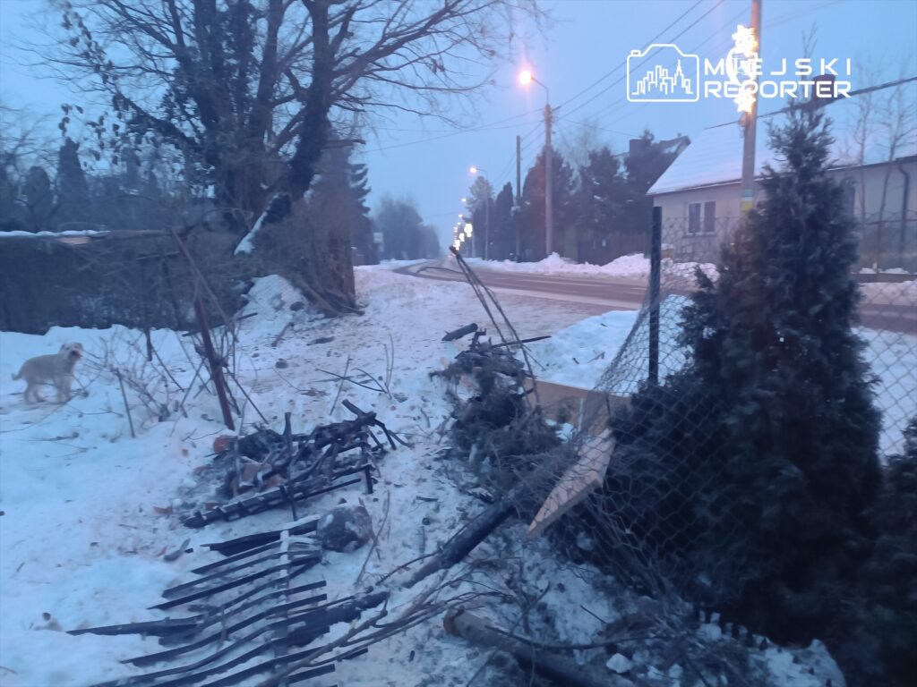 Pies wędrujący obok zniszczonego ogrodzenia w zaśnieżonym otoczeniu, przy oświetlonej ulicy.