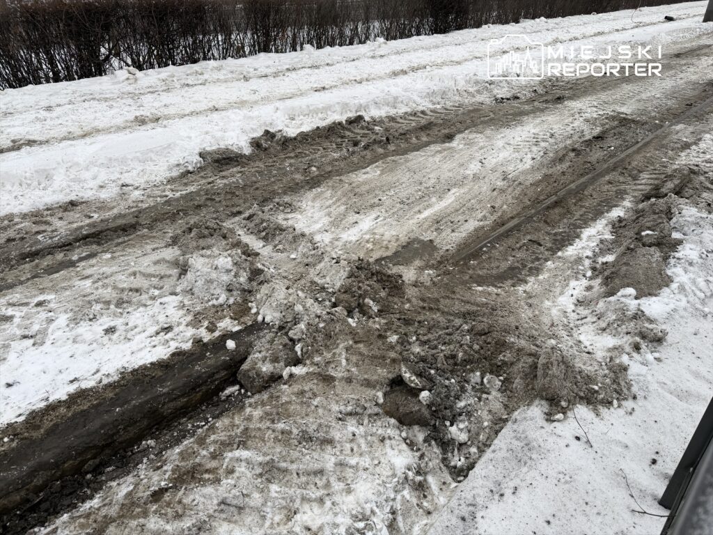 Zasypana śniegiem droga z widocznymi śladami opon i błota, w otoczeniu zamarzniętej ziemi i krzewów.
