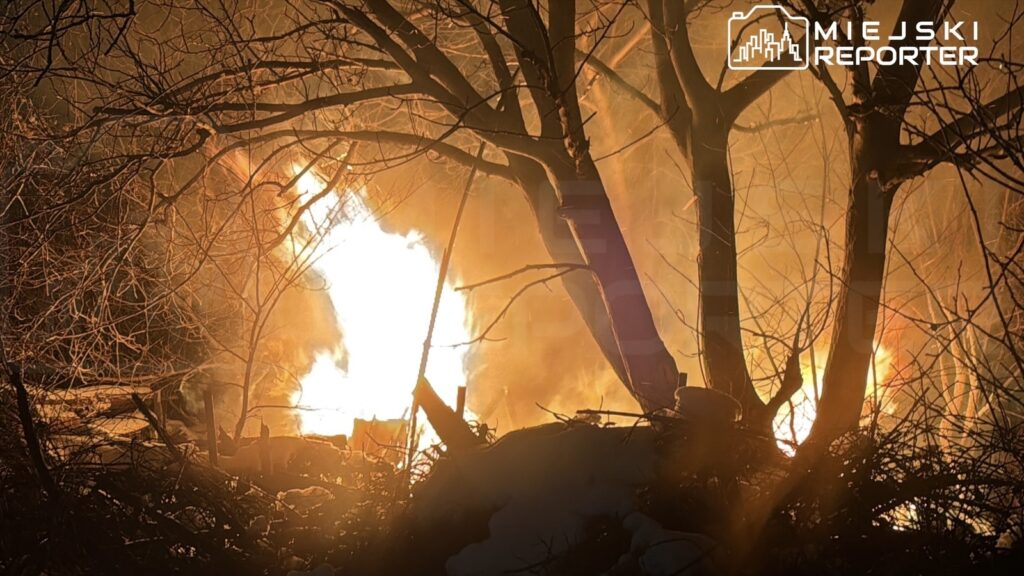 Płomienie ognia wydobywające się z zarośli w ciemnej scenerii nocnej, otoczone nagimi gałęziami drzew.