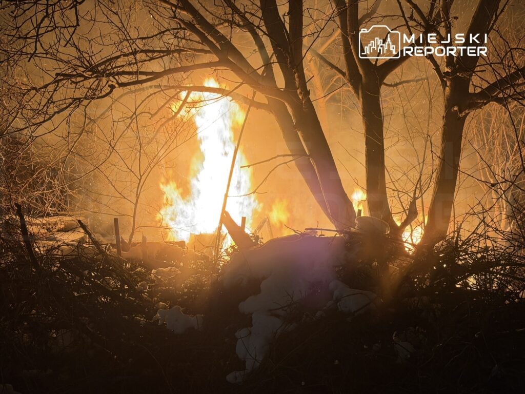 Płonące zarośla w lesie, emitujące intensywny ogień i dym, otoczone nagimi drzewami.