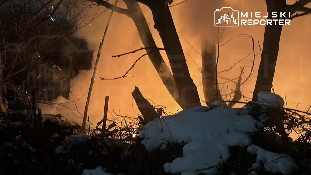 Ognisko dymu i płomieni wśród nagromadzonych gałęzi i śniegu w lesie.