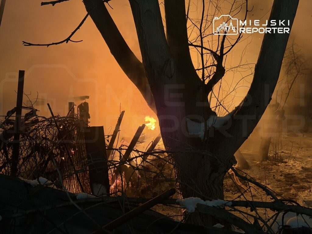 Płonące zarośla w miejskim otoczeniu, w tle widoczna jasna łuna ognia i dym.