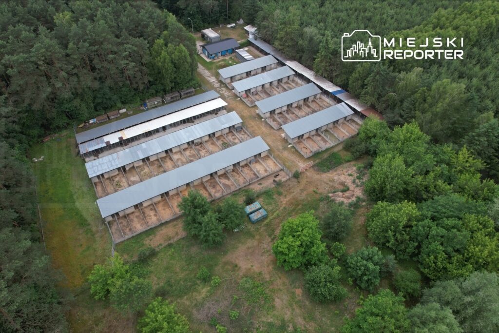 Widok z góry na zespół budynków gospodarskich z metalowymi dachami, otoczonych zielenią lasu.