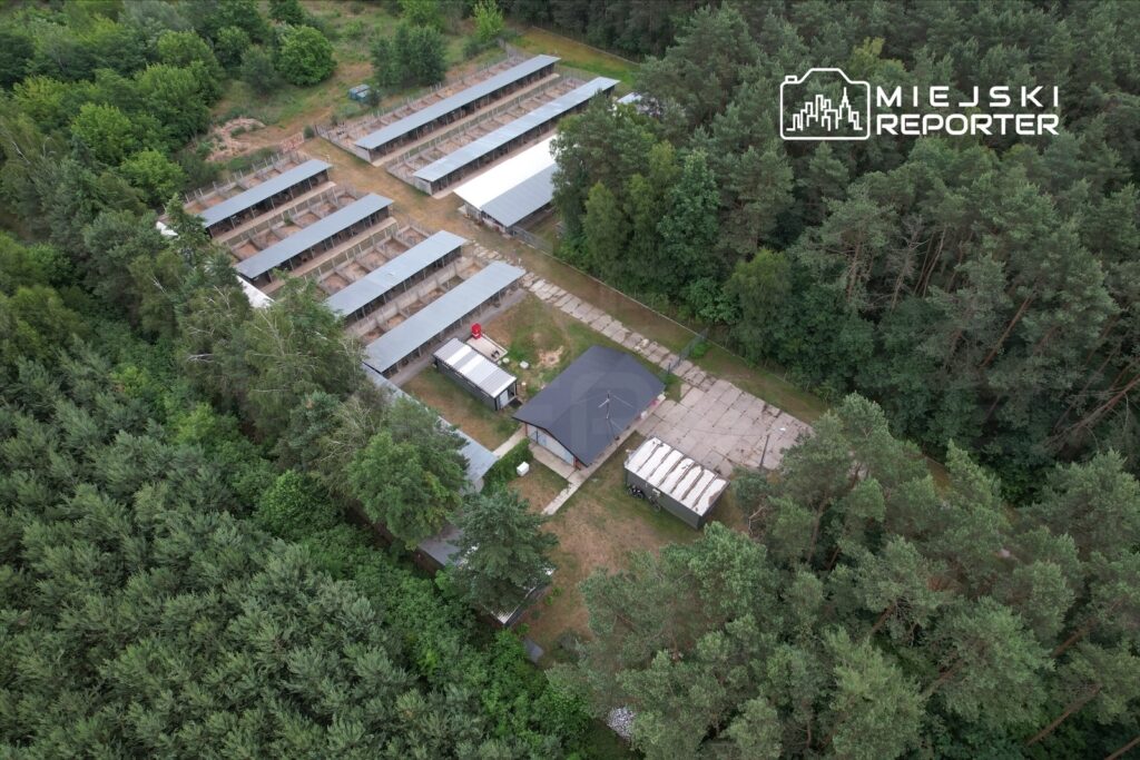 Zespół budynków z dachami pokrytymi blachą, otoczony zielonym lasem, z wyraźnie wydzielonymi kojcami dla zwierząt.