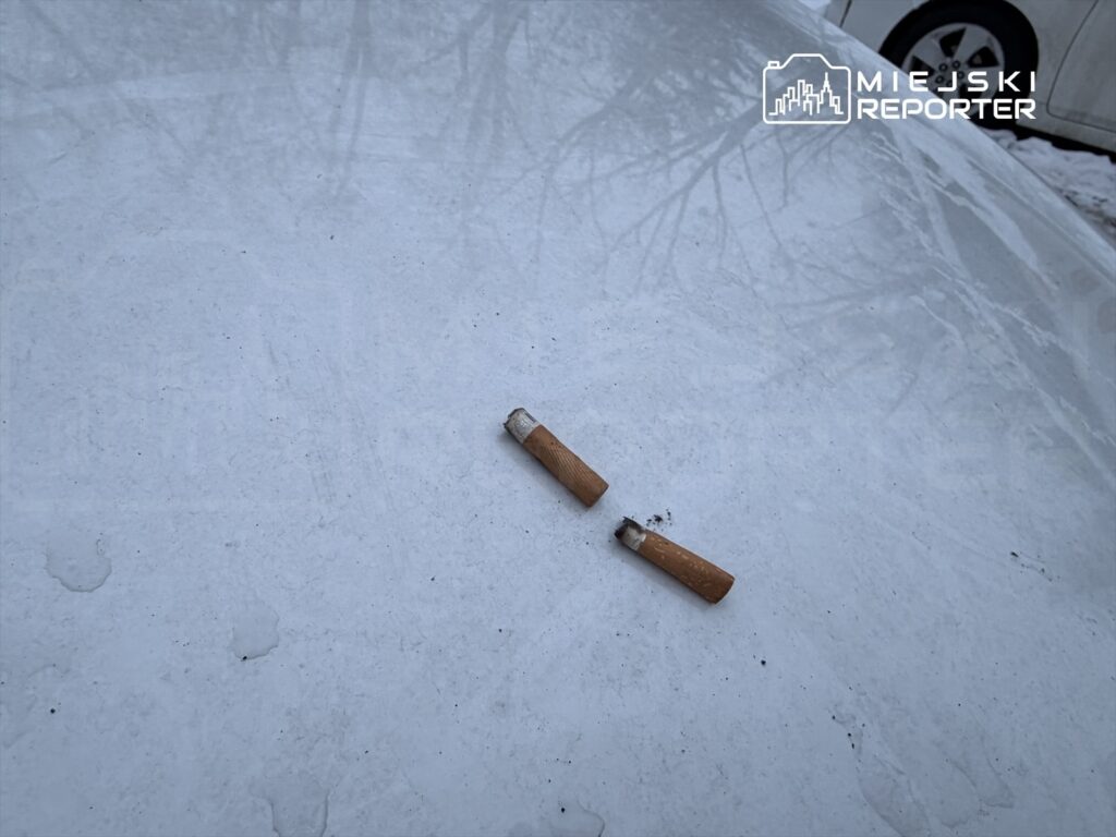 Dwa niedopałki papierosów leżące na białym, zaśnieżonym samochodzie.