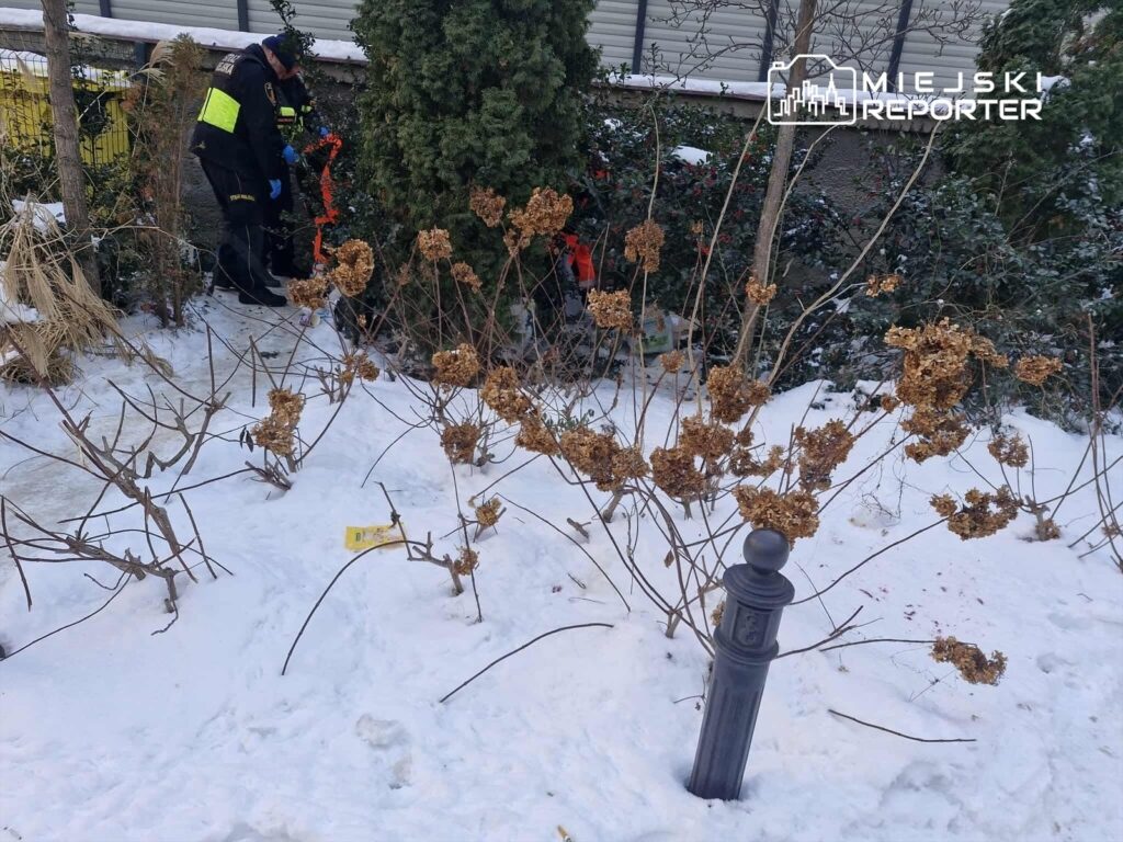 Dwaj ratownicy w odzieży ochronnej pracują w ogrodzie, usuwając przeszkody z zarośli w zasypanej śniegiem okolicy.