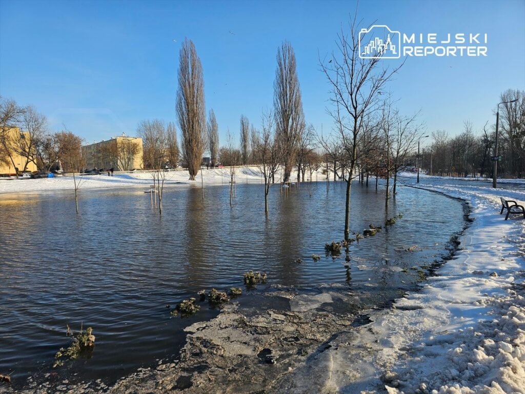 Woda zalewa zamarzniętą przestrzeń, a w tle widać drzewa i budynki pod jasnym niebem.
