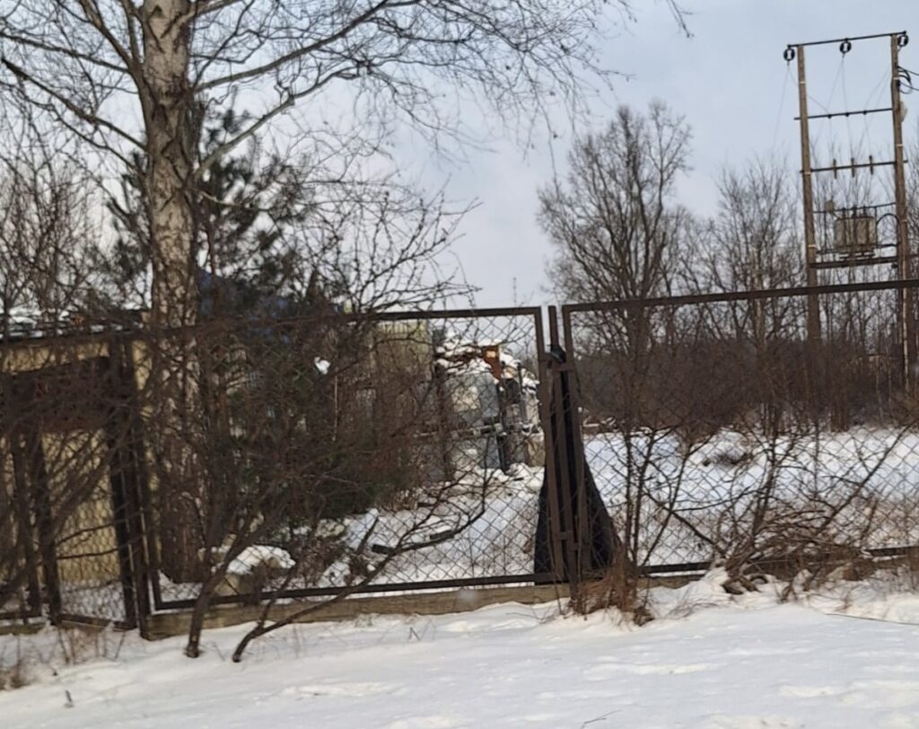 Zamknięty teren z ogrodzeniem, pokryty śniegiem, w tle widoczne drzewa i słup energetyczny.