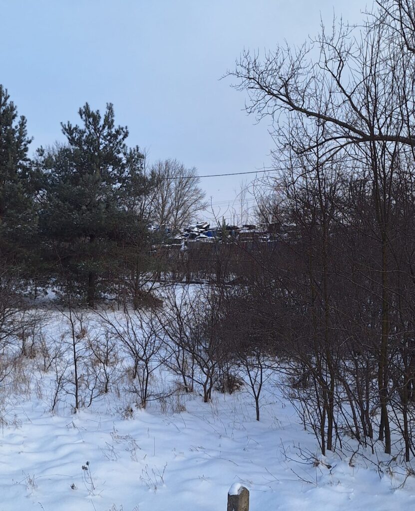 Zimowy krajobraz z śniegiem na ziemi, zarośla i drzewa w tle, z widocznymi konturami budynków.