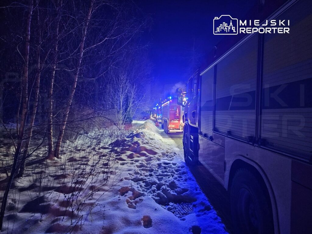 W nocy w lesie widoczne są samochody strażackie z włączonymi sygnałami świetlnymi, stojące na zaśnieżonej drodze.