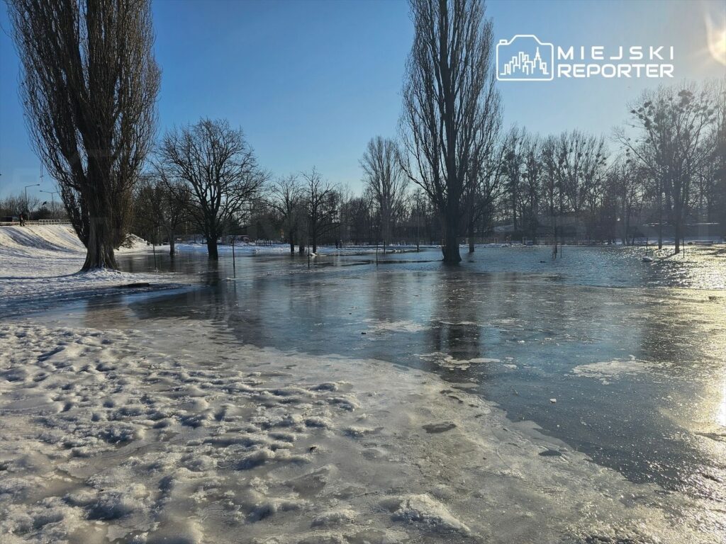 Zamarznięta powierzchnia wody odbijająca niebo, otoczona nagimi drzewami w zimowym krajobrazie.