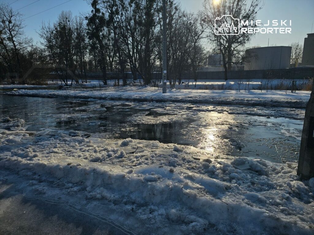 Lód i śnieg pokrywają brzeg rzeki, odbijając światło słońca w zimowej scenerii.