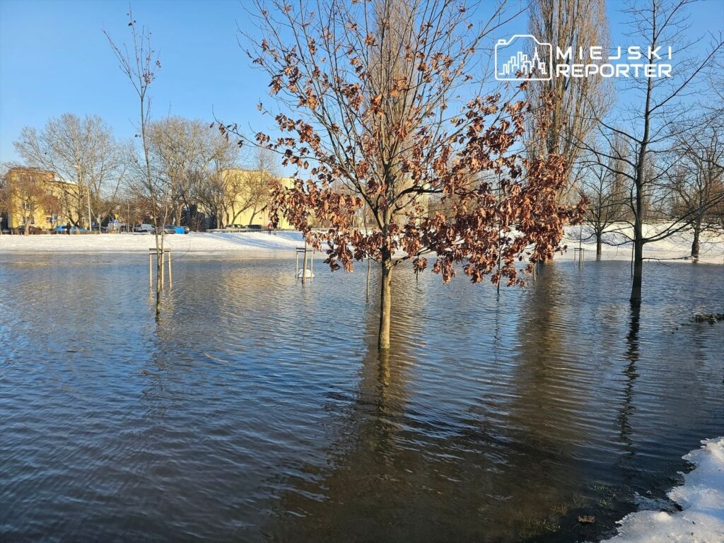 Zalany park z drzewami w wodzie, w tle widoczne budynki i pozostałości śniegu.