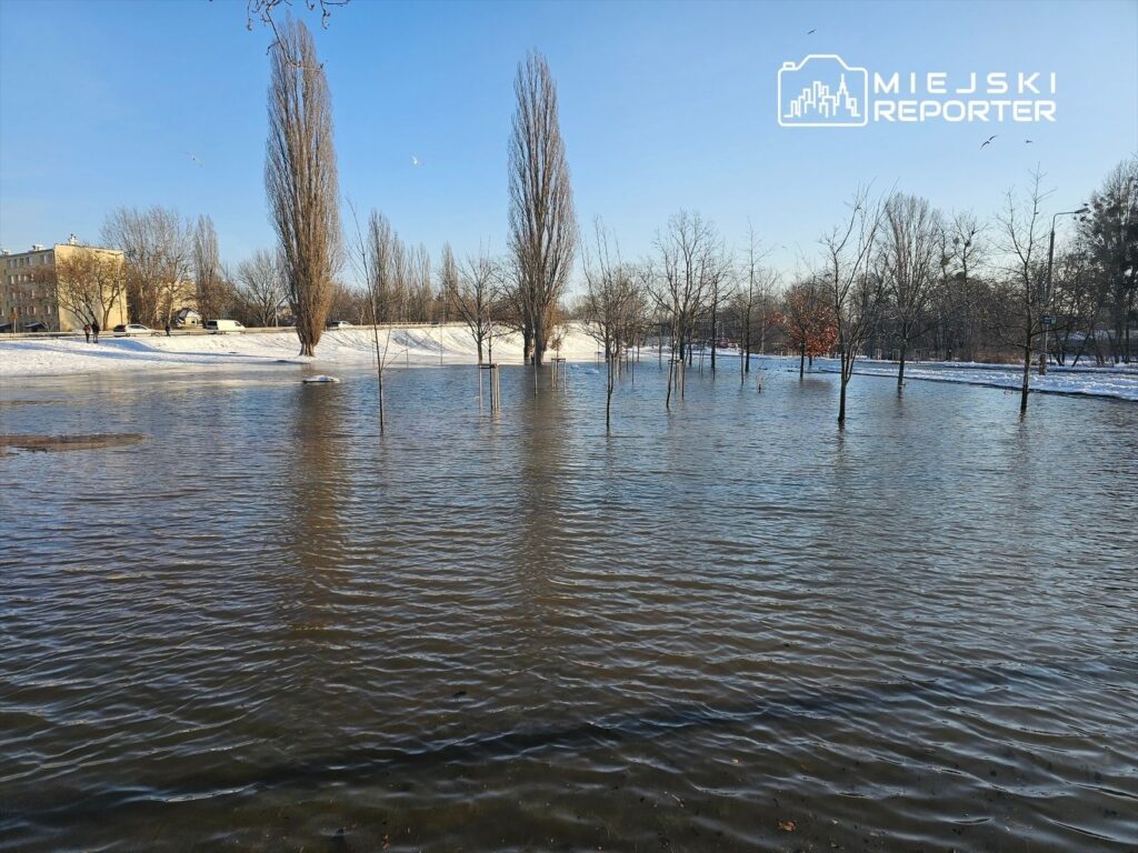 Zalany teren z drzewami, woda odbija niebo, w tle budynki i śnieg na brzegu.