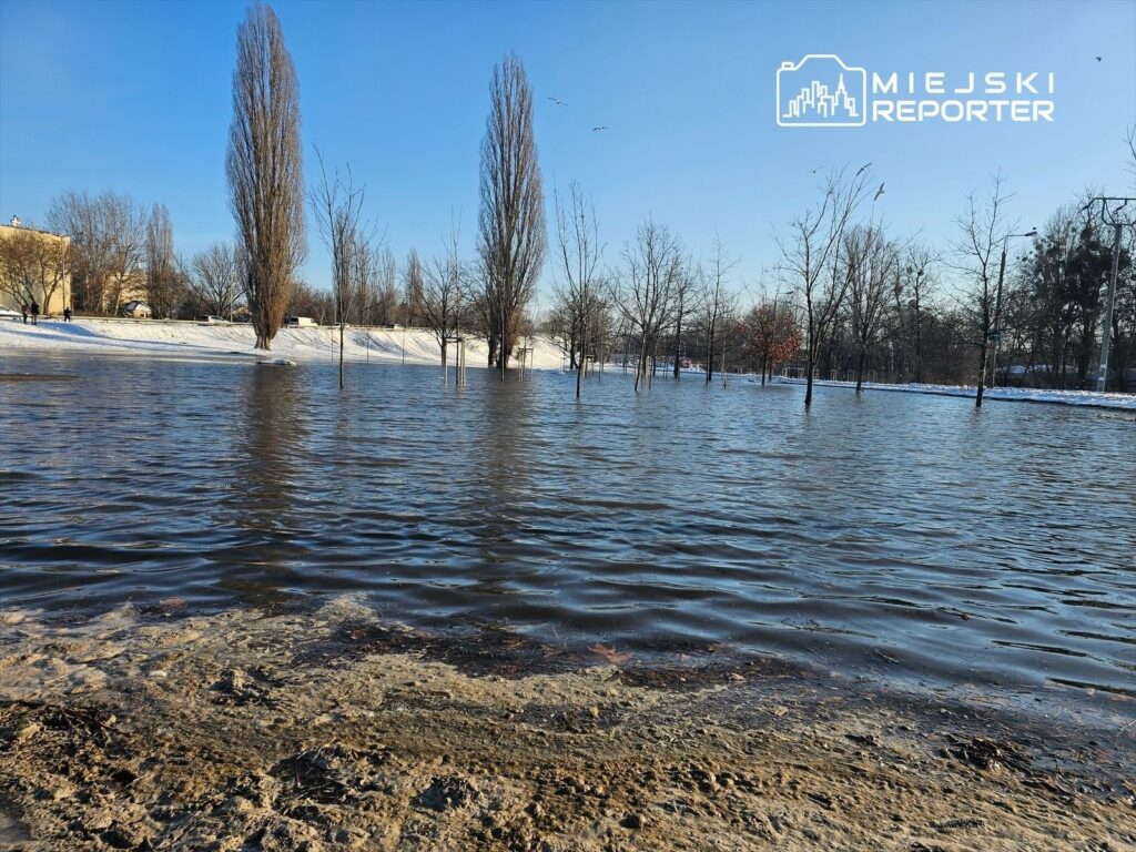 Zalany park z widocznymi drzewami, gdzie woda pokrywa ziemię, a w tle widać budynki i błękitne niebo.
