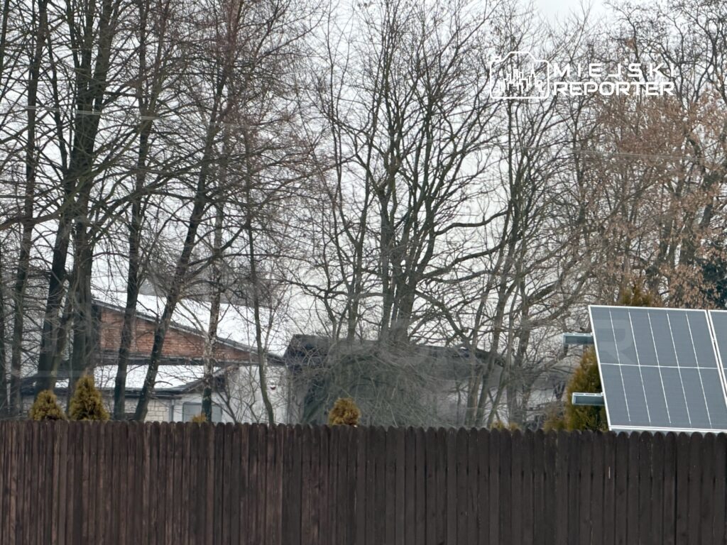 Na tle nagiego lasu widoczne są dwa domy z dachami pokrytymi śniegiem oraz panele słoneczne na ogrodzeniu.