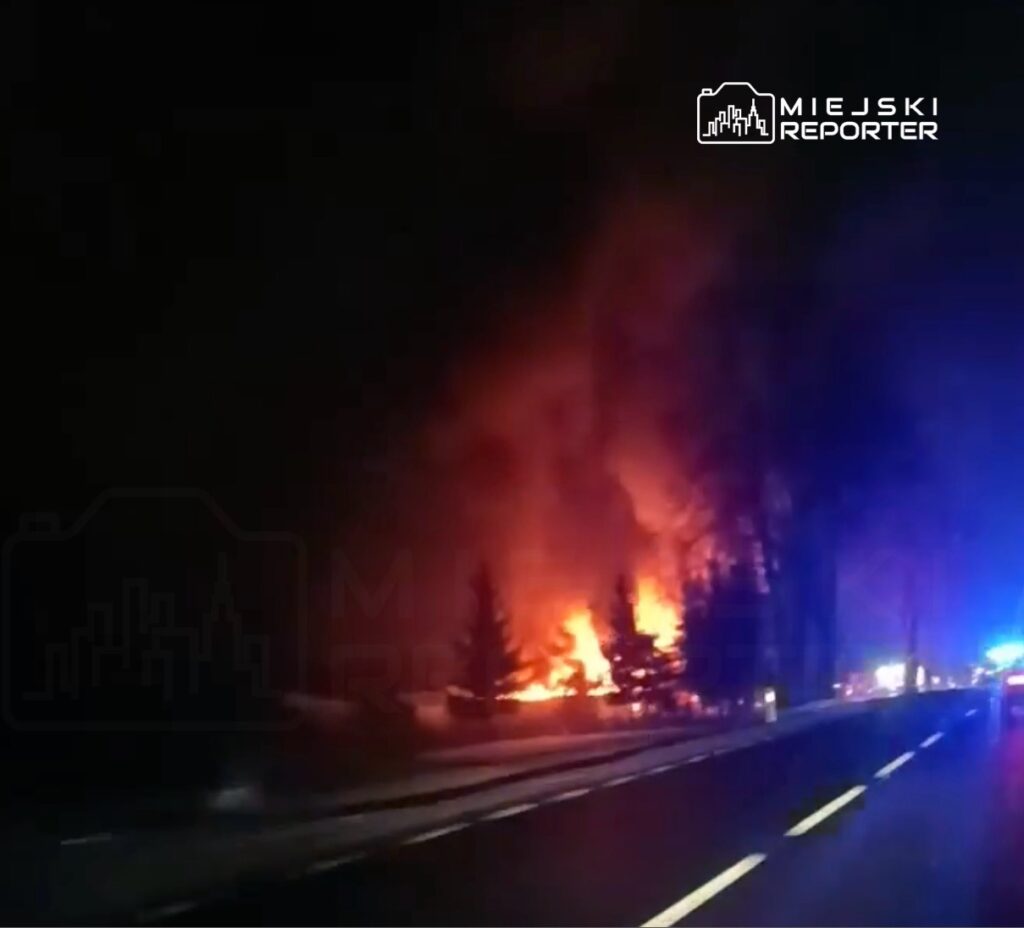 Płonące drzewa w nocy, otoczone przez niebieskie światła pojazdów ratunkowych na drodze.