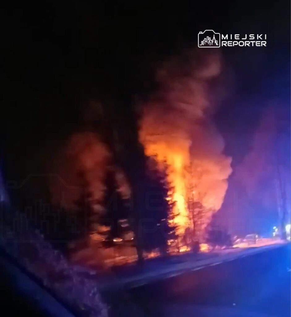 Płonące drzewa w ciemności, otoczone gęstym dymem, z niebieskimi światłami pojazdów ratunkowych w tle.