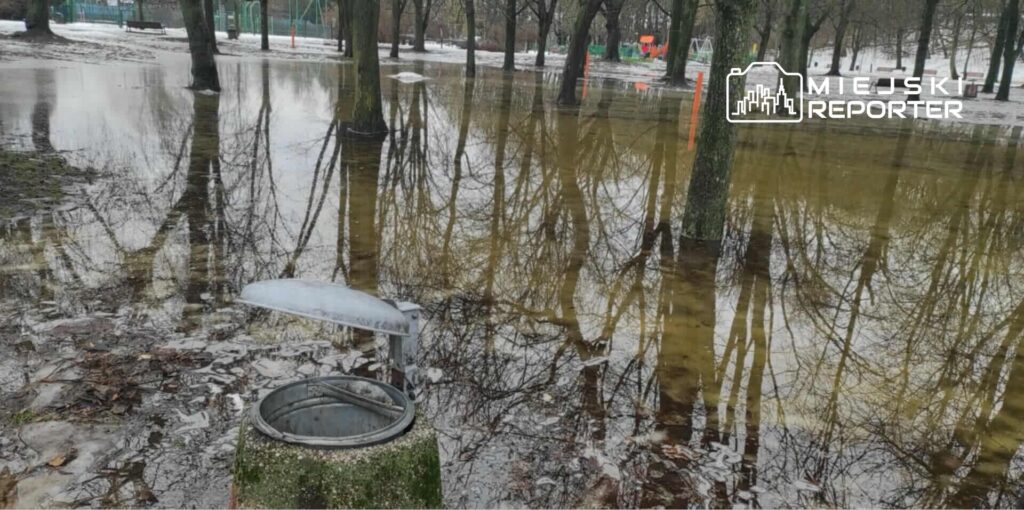 Zatopiona część parku z drzewami odbijającymi się w wodzie oraz otwartym koszem na śmieci.