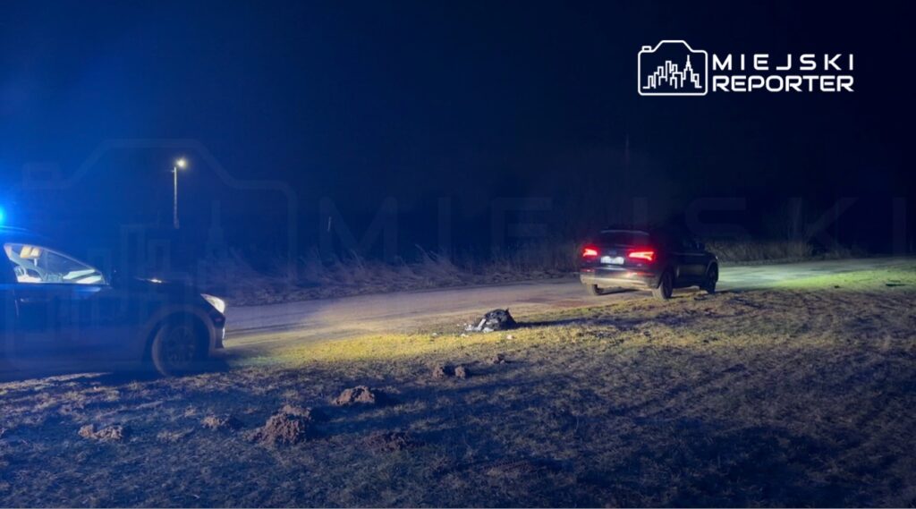 Policyjny radiowóz z włączonymi sygnałami świetlnymi stoi na poboczu drogi, obok leży ciemny przedmiot na trawie.