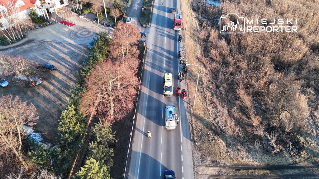 Zespół ratunkowy pracuje na drodze, obok stoją pojazdy straży pożarnej i karetka, w tle widoczne domy i drzewa.