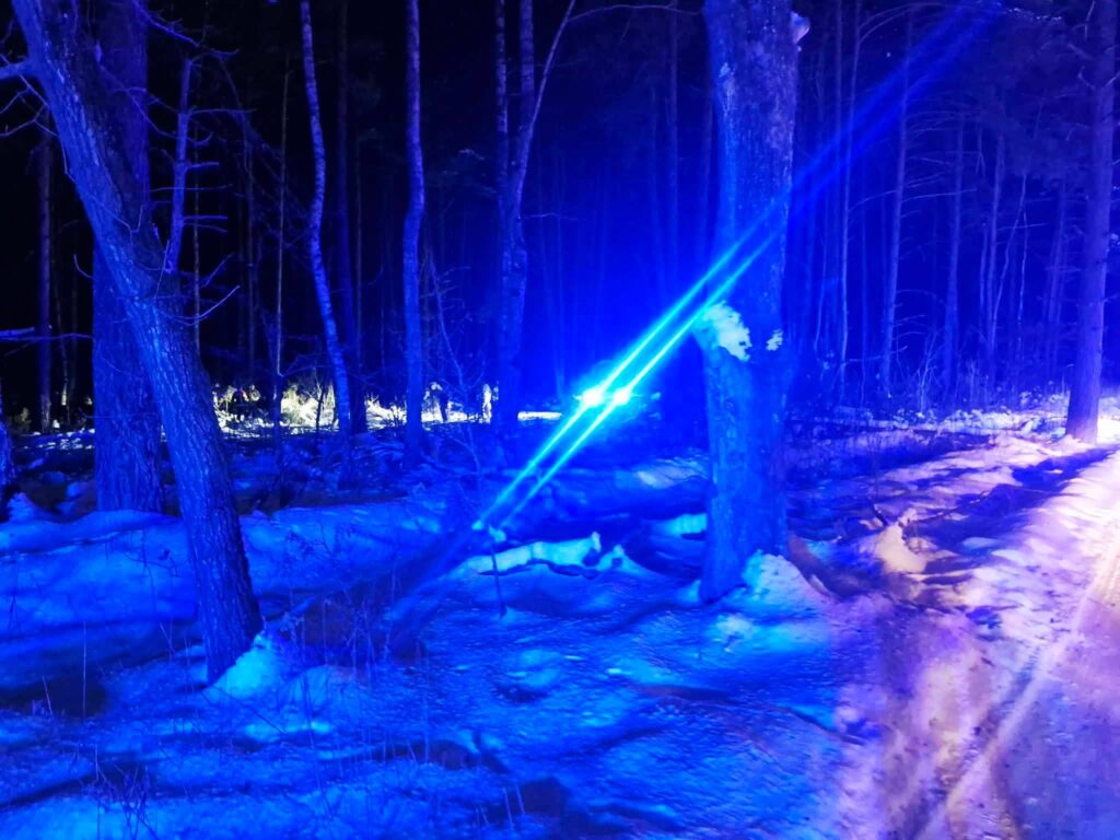 Nocny las oświetlony niebieskimi światłami, z widocznymi drzewami i śniegiem na ziemi.