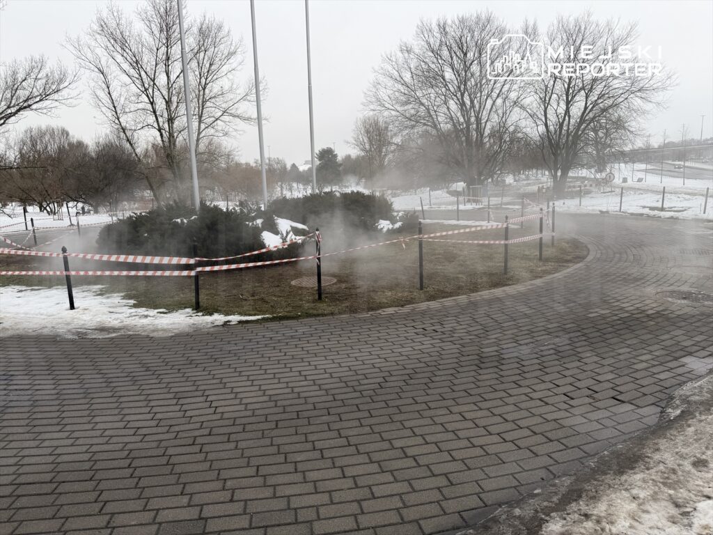 Zarośla otoczone taśmą ostrzegawczą, z parą unoszącą się nad ziemią, w tle nagie drzewa i śnieg.