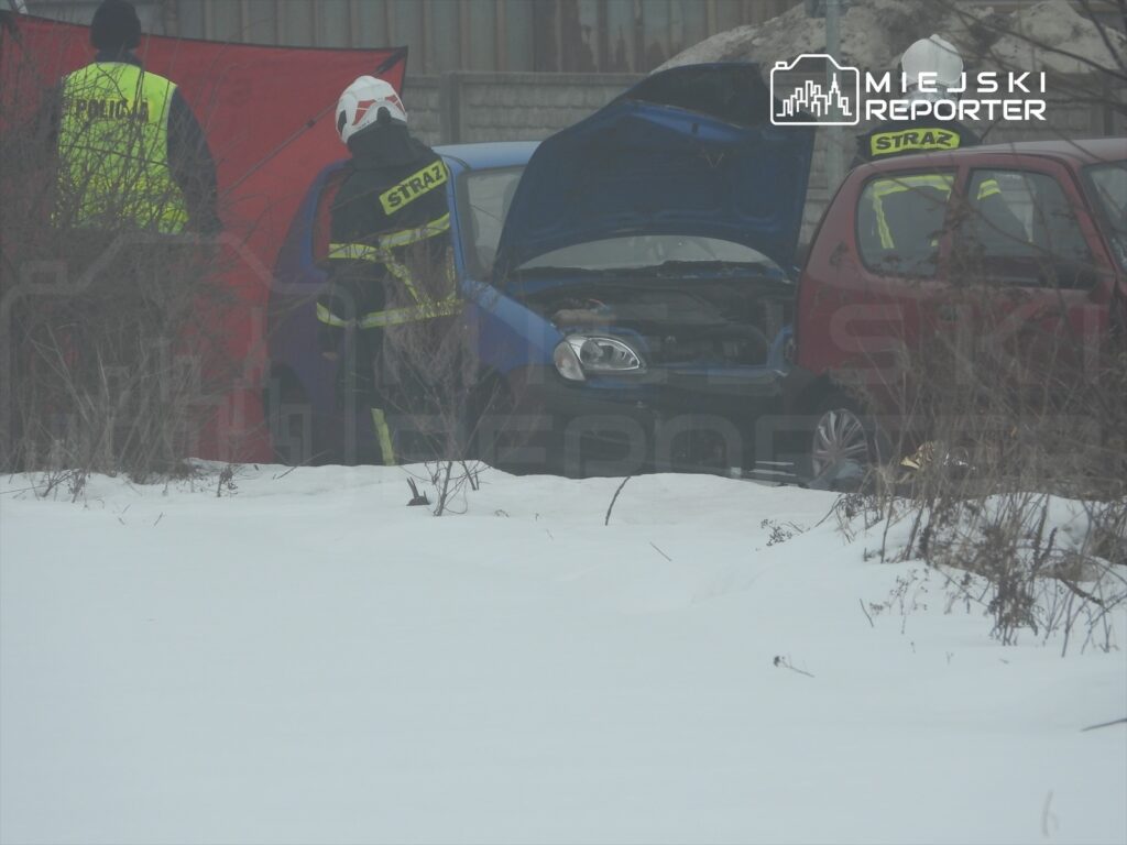 Strażacy w zimowej scenerii sprawdzają samochody z otwartymi maskami, w tle widoczne zaspy śniegu.