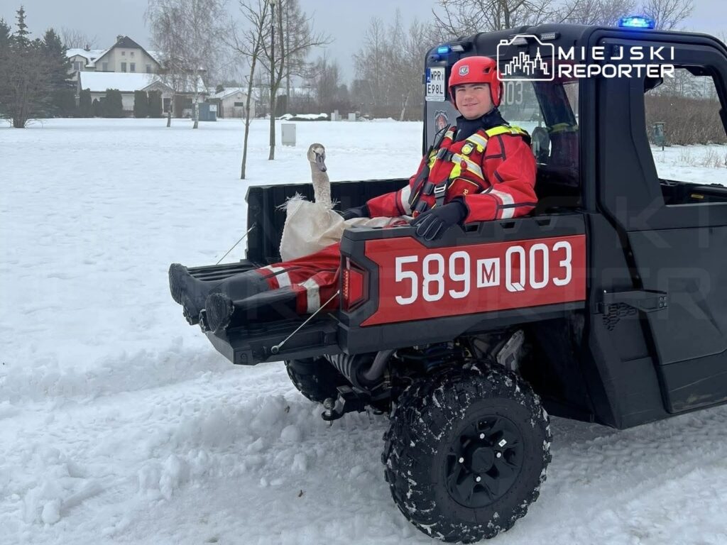 Mężczyzna w czerwonym uniformie siedzi w pojeździe terenowym na zaśnieżonym terenie, trzymając łabędzia w worku.
