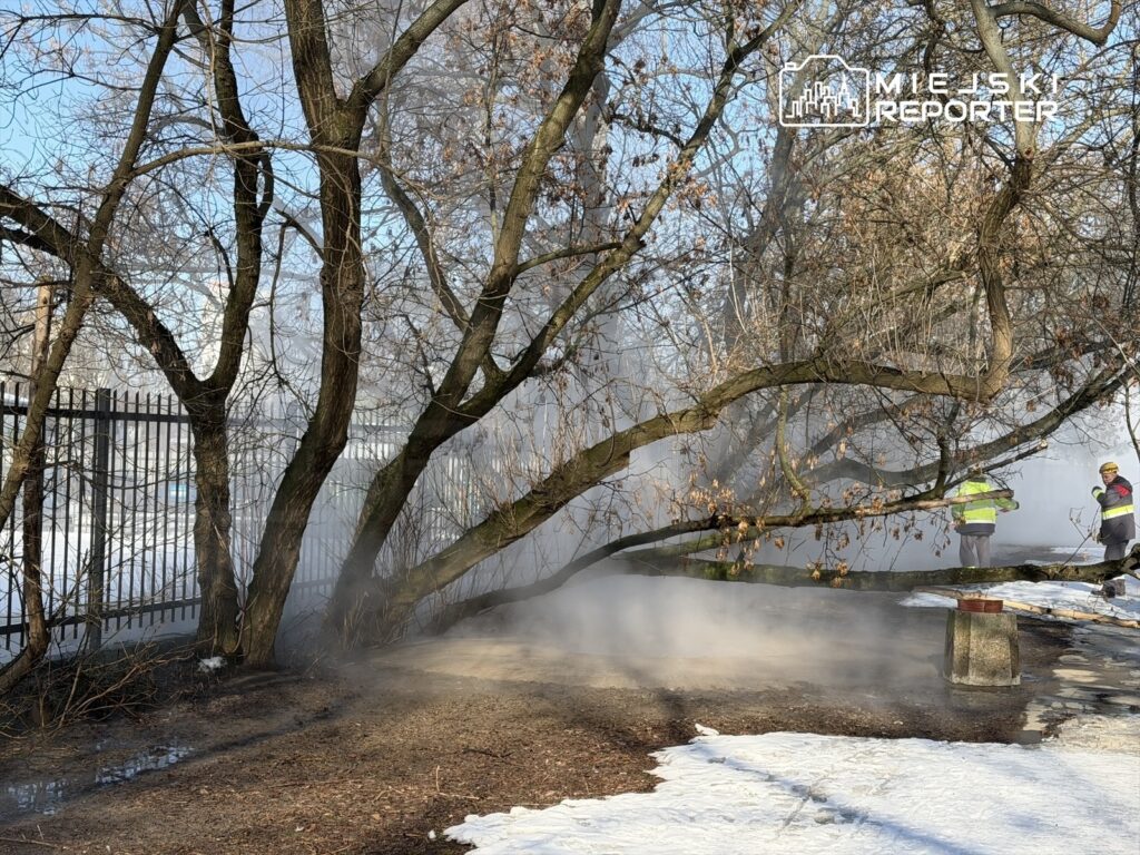 Dwóch pracowników w kamizelkach odblaskowych usuwa gałęzie drzew w miejscu, gdzie unosi się para wodna.