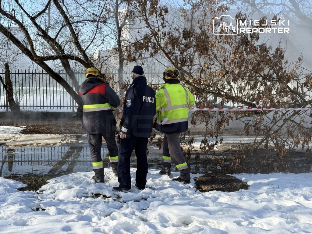 Trzech ratowników w odzieży roboczej obserwuje miejsce zdarzenia, w tle widać dym i pokryty śniegiem teren.