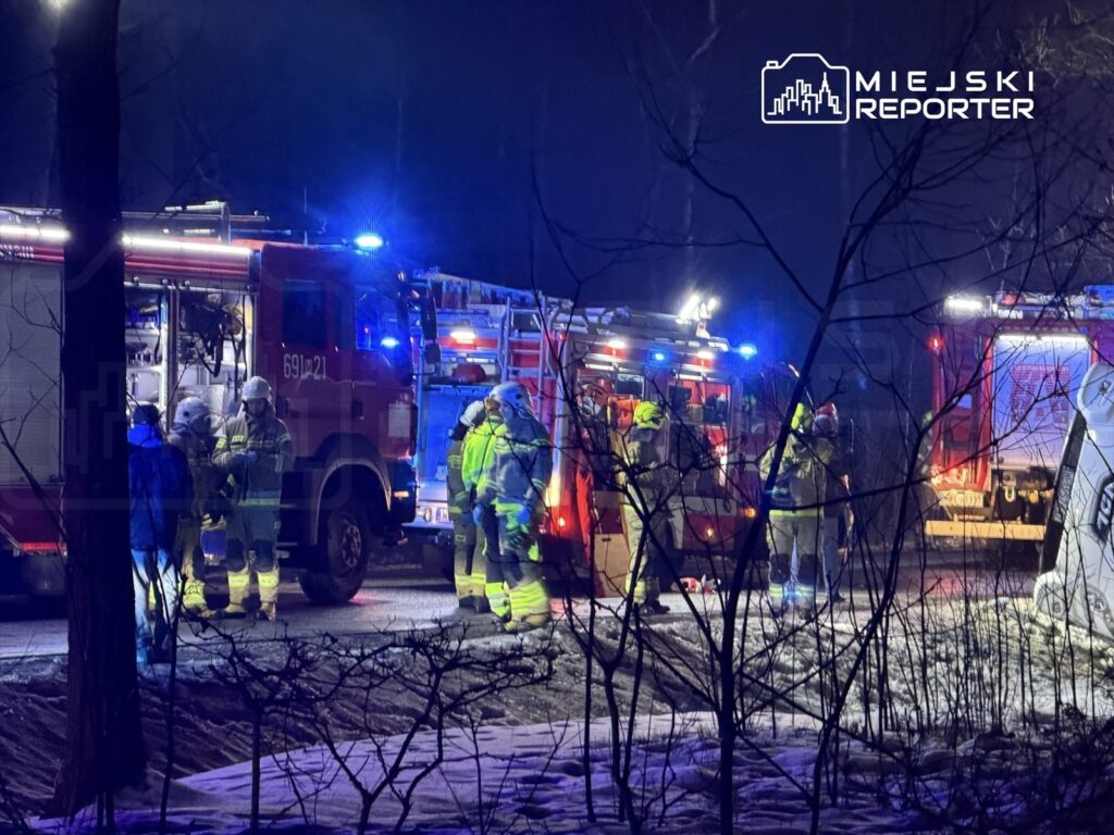 Grupa strażaków w specjalnych ubraniach pracuje w ciemnym lesie obok wozu strażackiego z włączonymi sygnałami świetlnymi.