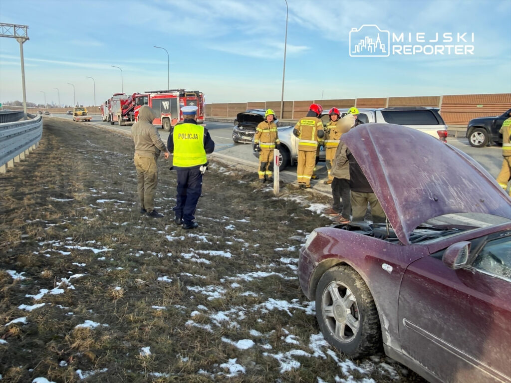 Mężczyzna w mundurze policji rozmawia z kierowcą samochodu na poboczu drogi, obok pracują strażacy.