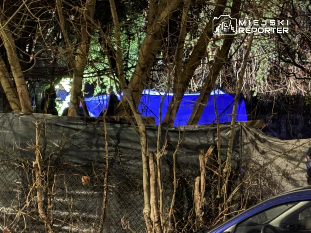 Grupa policjantów pracująca w lesie, otoczona przez drzewa i ogrodzenie, z niebieskim światłem w tle.