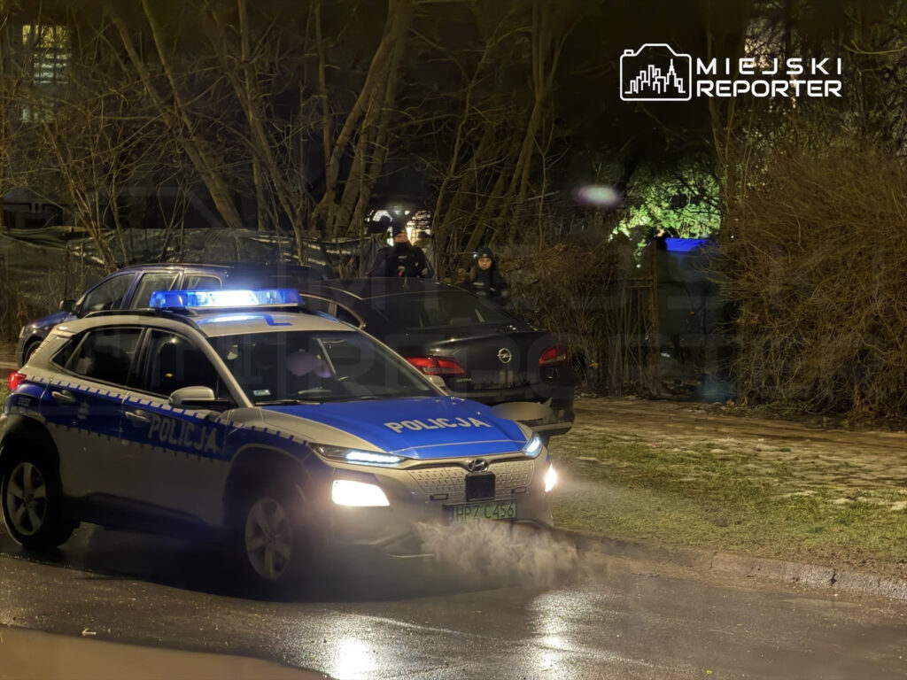Policyjny samochód z niebieskimi światłami zatrzymany na drodze, w tle zarośla i ciemne samochody.
