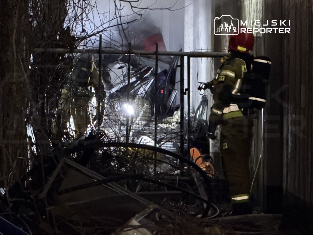 Strażacy w specjalnych strojach przeszukują zarośnięty teren po pożarze, w tle widać zniszczone pojazdy.