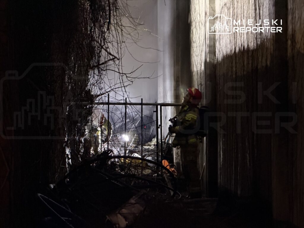 Strażak w hełmie i mundurze stoi obok ogrodzenia, w tle widoczne płomienie i dym, w otoczeniu zarośli.